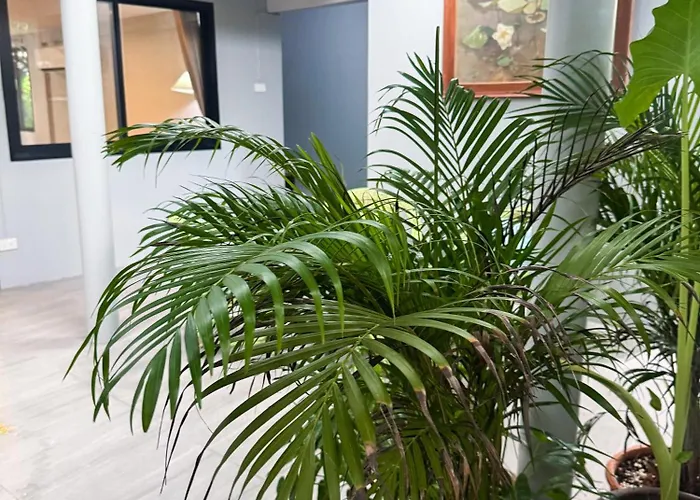 Apartment Pridi Cozy With Good Location Type A *